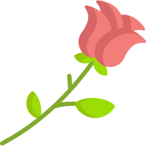 خرید گل